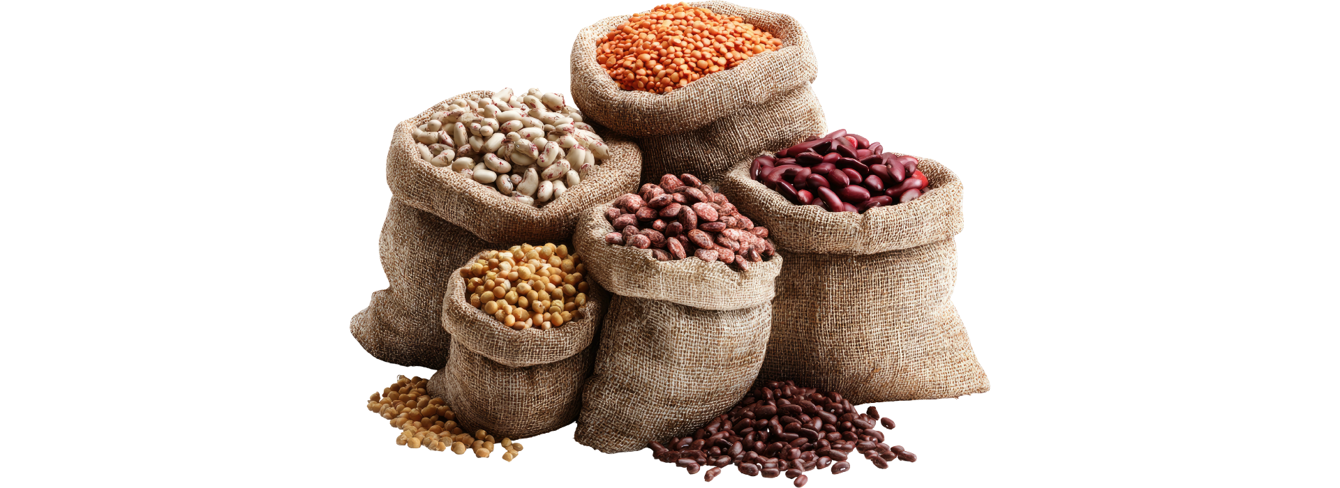 Untitled design (4).png (1.10 MB)